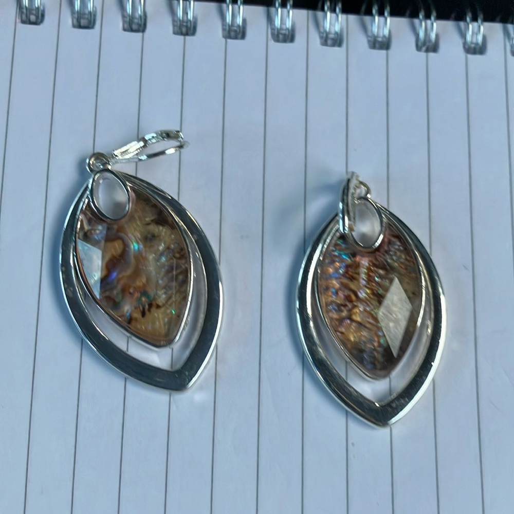 Elegant Silver and Brown Pendant Earrings